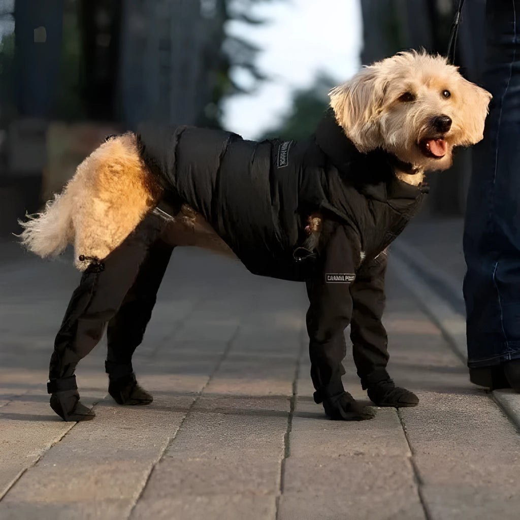 Black polyester dog shoes with non-slip soles for waterproof paw protection