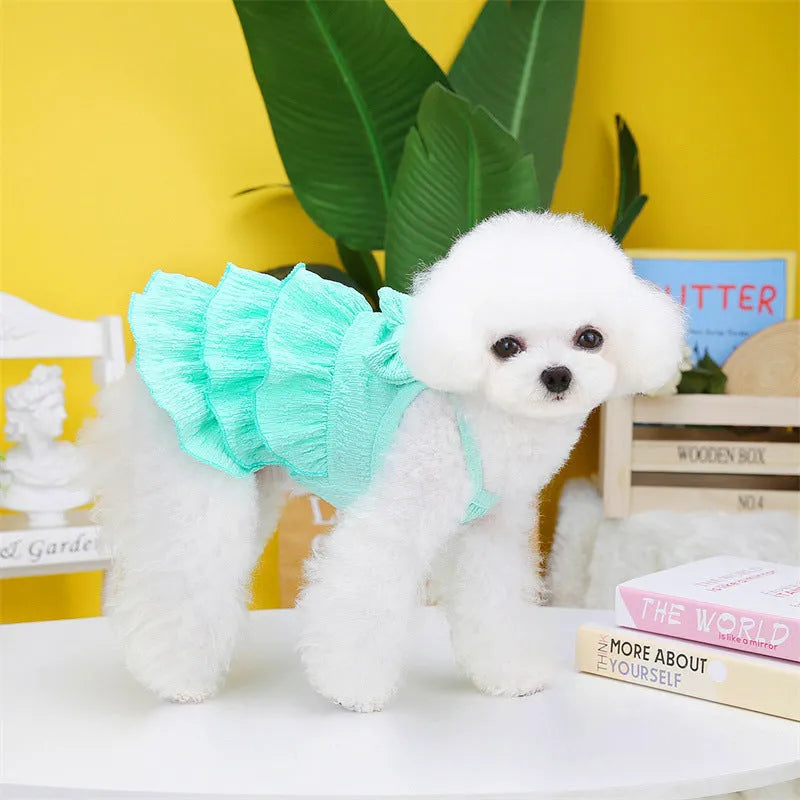 Small dog wearing princess dress with candy-layered skirt in rose red, yellow, or water green colour