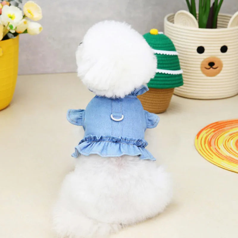 Blue denim dog dress with ruffle trim and metal leash attachment rings on chest and back