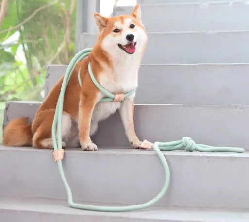 Light green cotton multi-functional dog leash with chest harness function, 12mm rope, adjustable 3.8m length