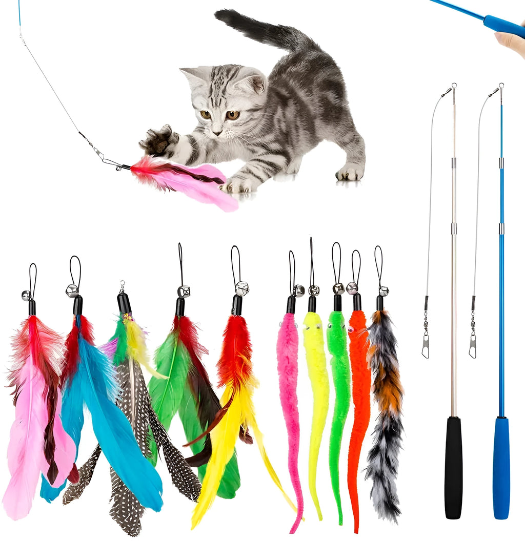 Extendable cat fishing rod with feather teaser attachments and replacement heads