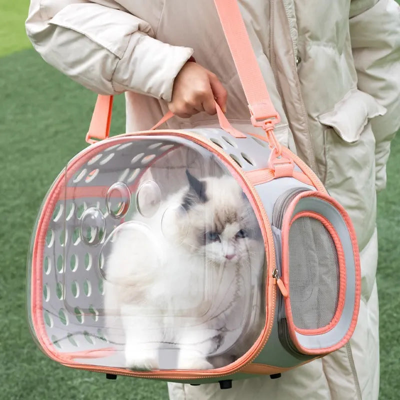 Large transparent EVA hard-shell cat backpack in grass green, showing space capsule design for pets up to 9kg.