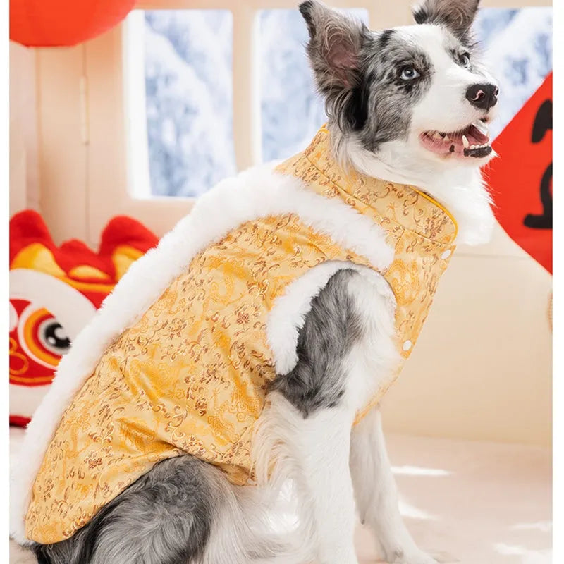 Chinese-style cotton-padded dog Tang suit with rabbit fur collar for large and medium-sized dogs