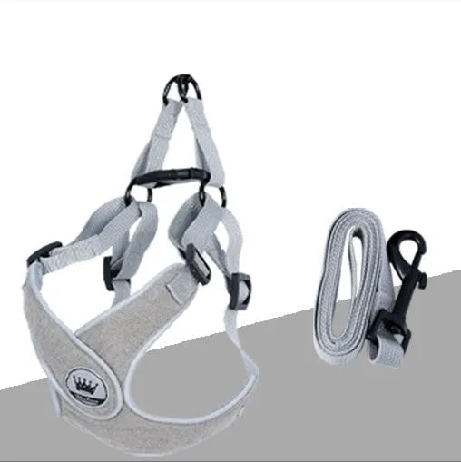 Adjustable dog harness in breathable mesh fabric with metal D-ring and attached leash.