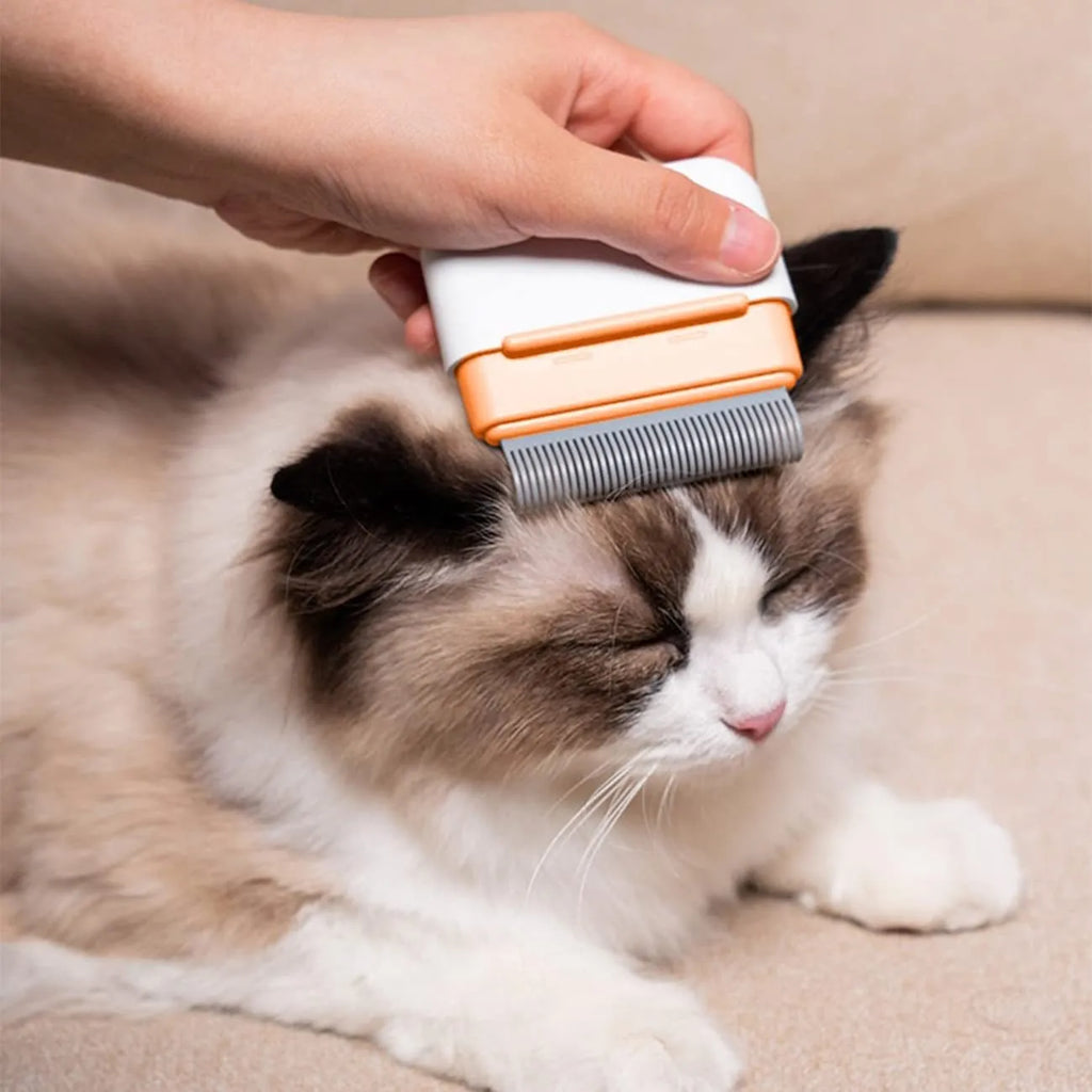 Double-sided blue pet grooming comb for cats and dogs with stainless steel teeth