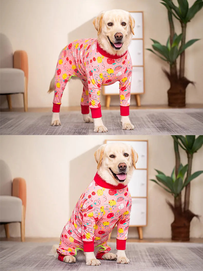 Cotton all-inclusive belly dog coat with dinosaur print on a small dog
