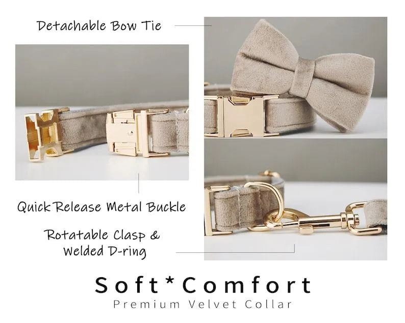 Velvet dog collar set with metal buckle and bow tie in multiple colour options sizes XS to XXL