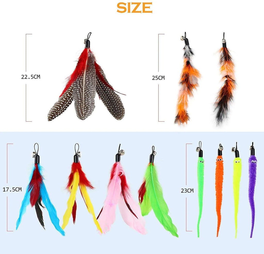 Extendable cat fishing rod with feather teaser attachments and replacement heads