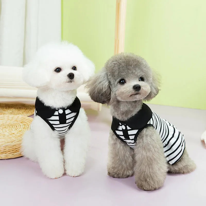Cotton pet T-shirt and skirt summer outfit set for dogs and cats in striped design