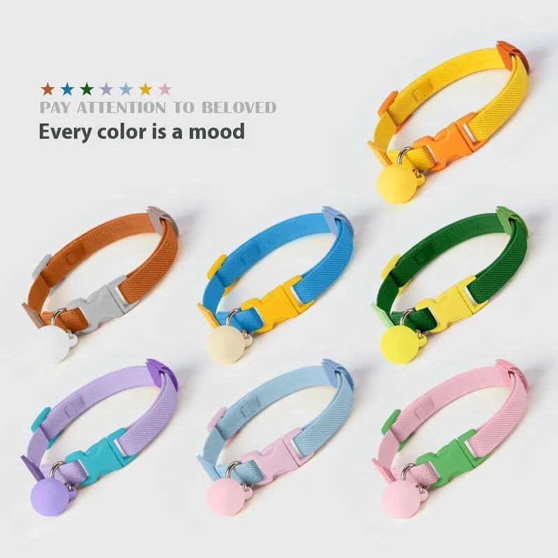 Small dog polyester pet collar in various solid colours showing high elastic adjustable band.