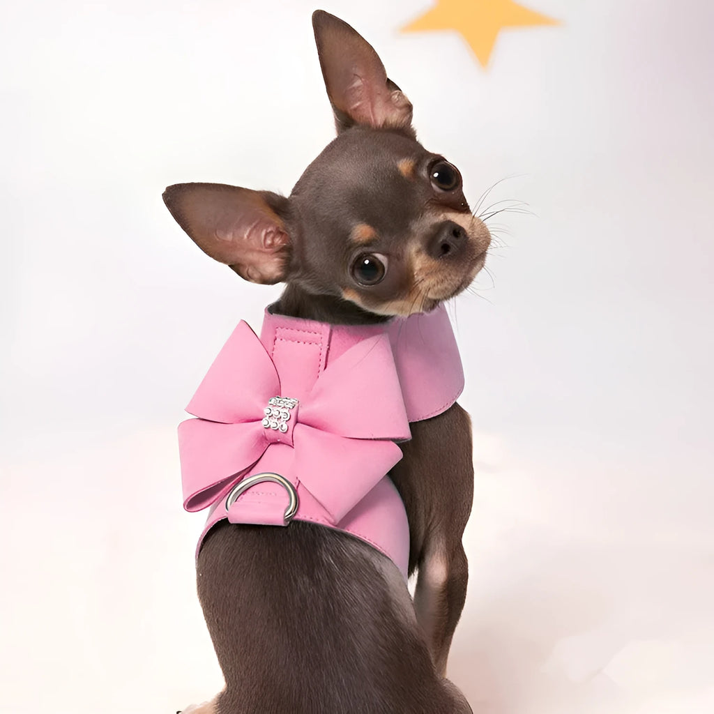 A soft microfiber dog chest strap with a decorative bowknot, shown in pink, blue, and orange colour options.