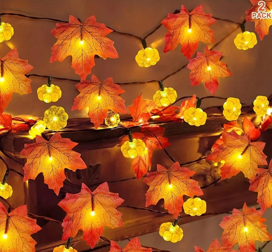 Picture of USB powered plastic string lights in autumn decoration colour finish