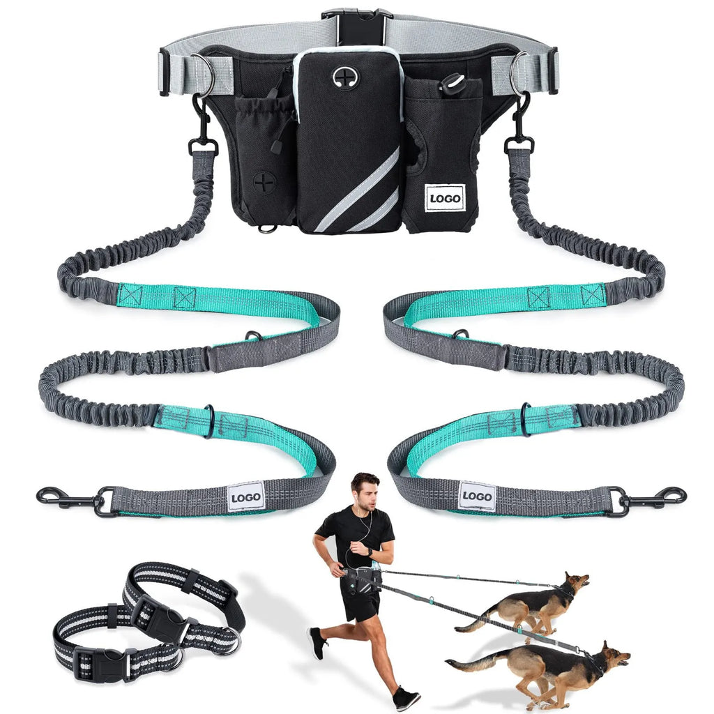 Black nylon waterproof pet training waist bag with dog leash and collar set for outdoor walking