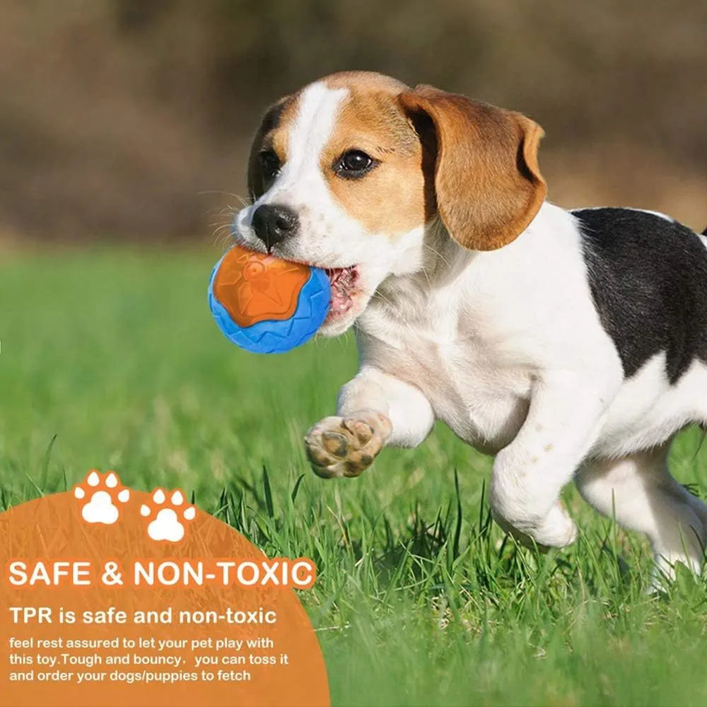Three TPR dog toys - ball, barbell, and tires - with textured surfaces for teeth cleaning and floating capability