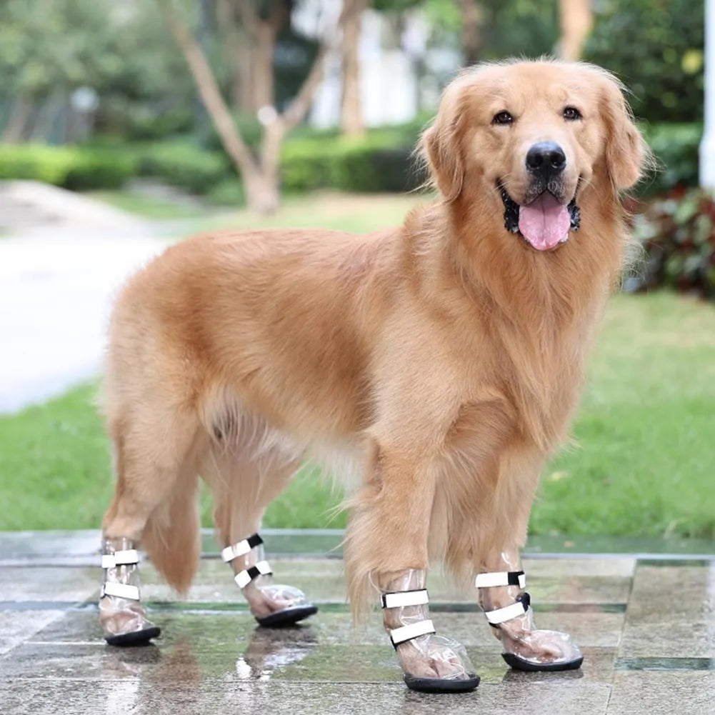 Black waterproof dog shoes with non-slip sole on a large dog outdoors