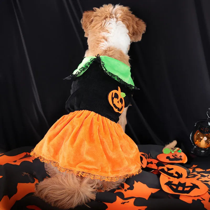 Halloween pumpkin pet costume for dogs and cats in crystal velvet material with sizing options