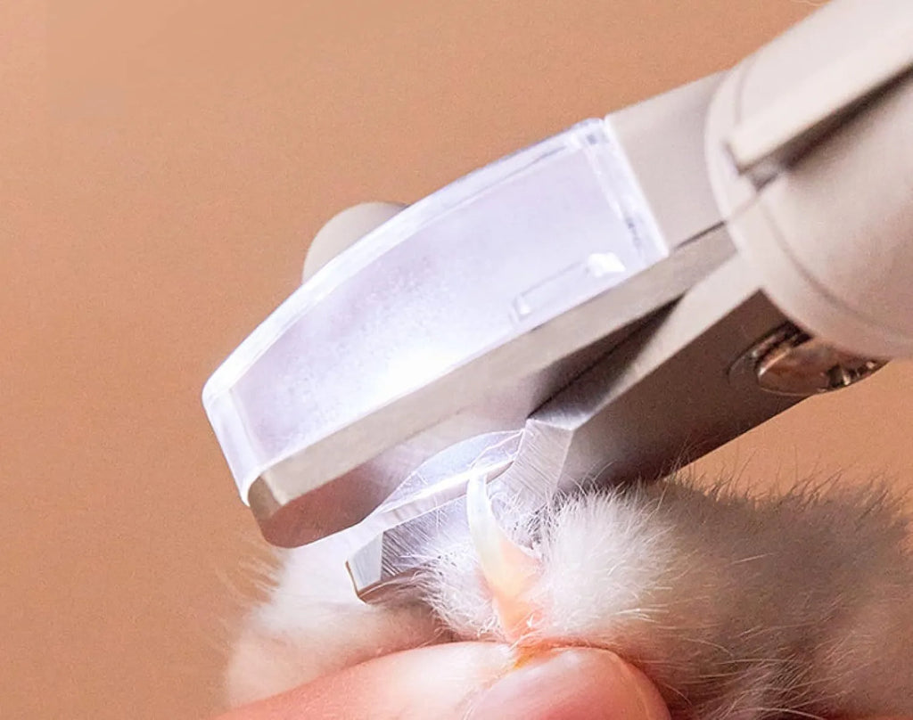 White pet nail clippers with LED light, anti-splash transparent guard, and a leather-like handle on a blue background.