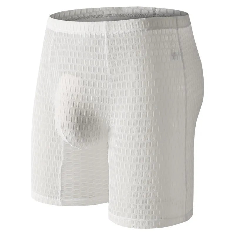 Men's solid colour lace boxer underwear with hip lifting design on a mannequin.