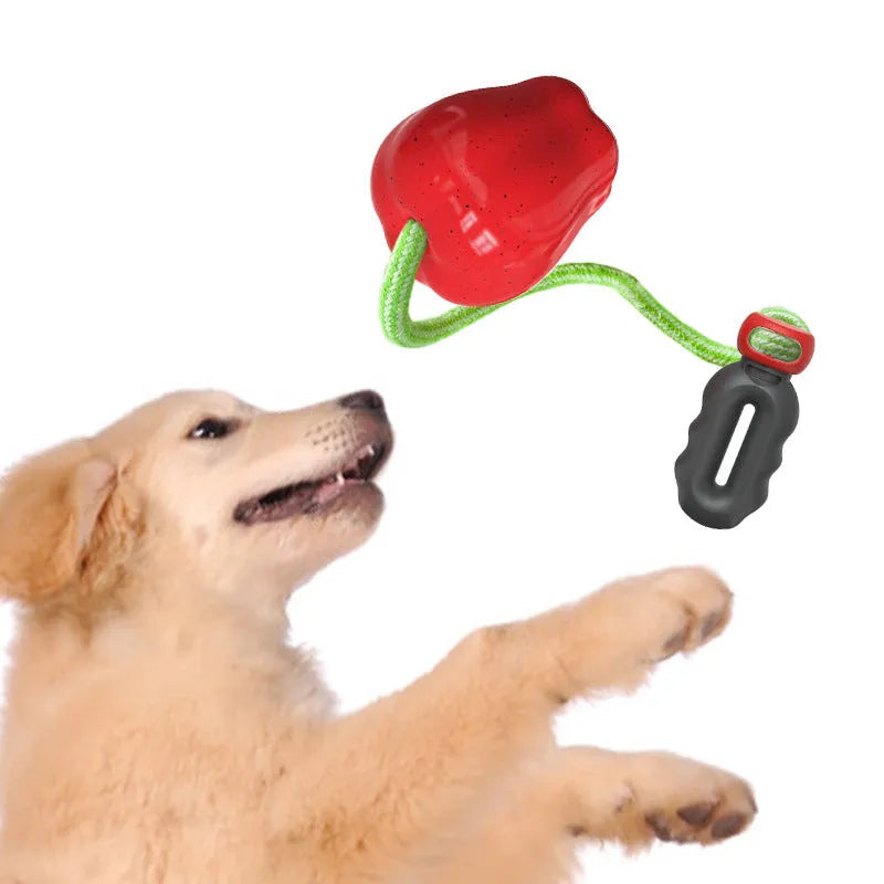 Green plastic apple-shaped dog toy with molar texture, acting as a food-dispensing ball and chew.