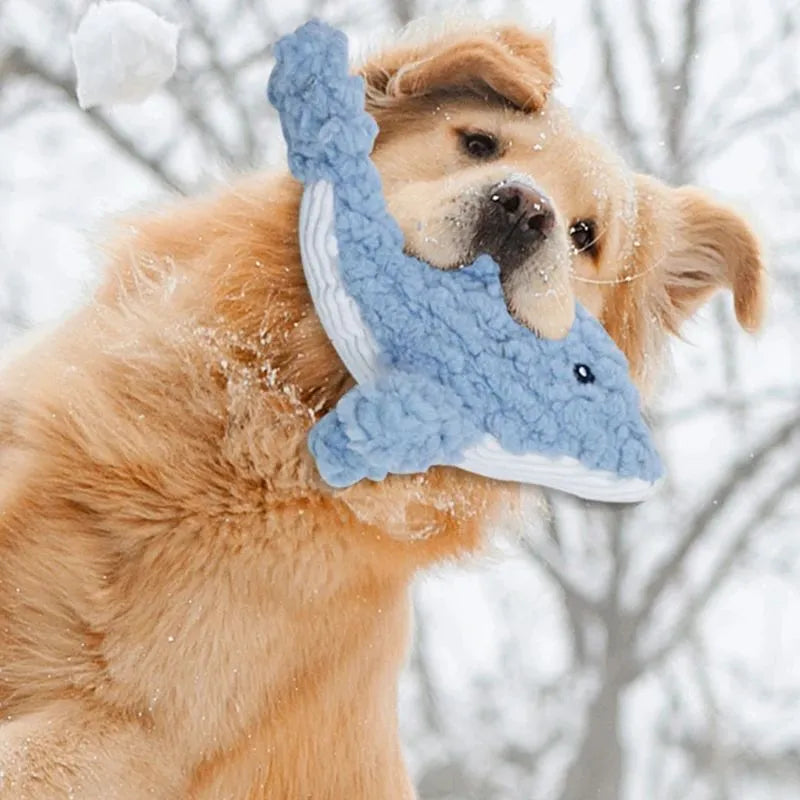 Plush caterpillar fabric dog toy in shark shape with squeaker on white background