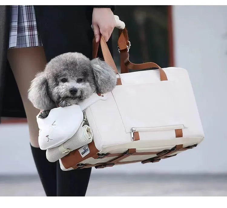 Hard-sided beige pet travel crate with EPE padding, dimensions 43x25x22.5cm