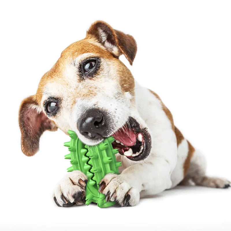 Green or yellow cactus-shaped dog toothbrush chew toy made from food-grade rubber on a white background.
