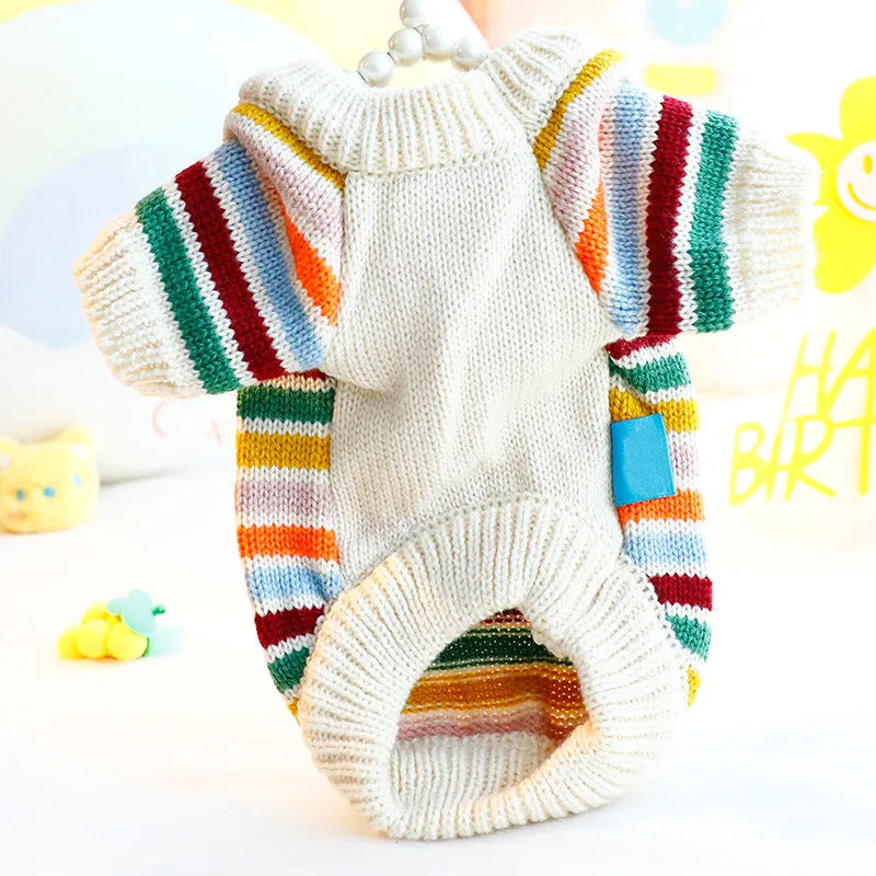 Dog wearing a casual wool knit sweater in a cute spring autumn style