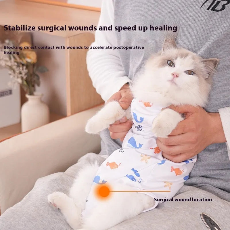 Cat wearing post-operative sterilisation recovery suit with velcro fastenings and printed design