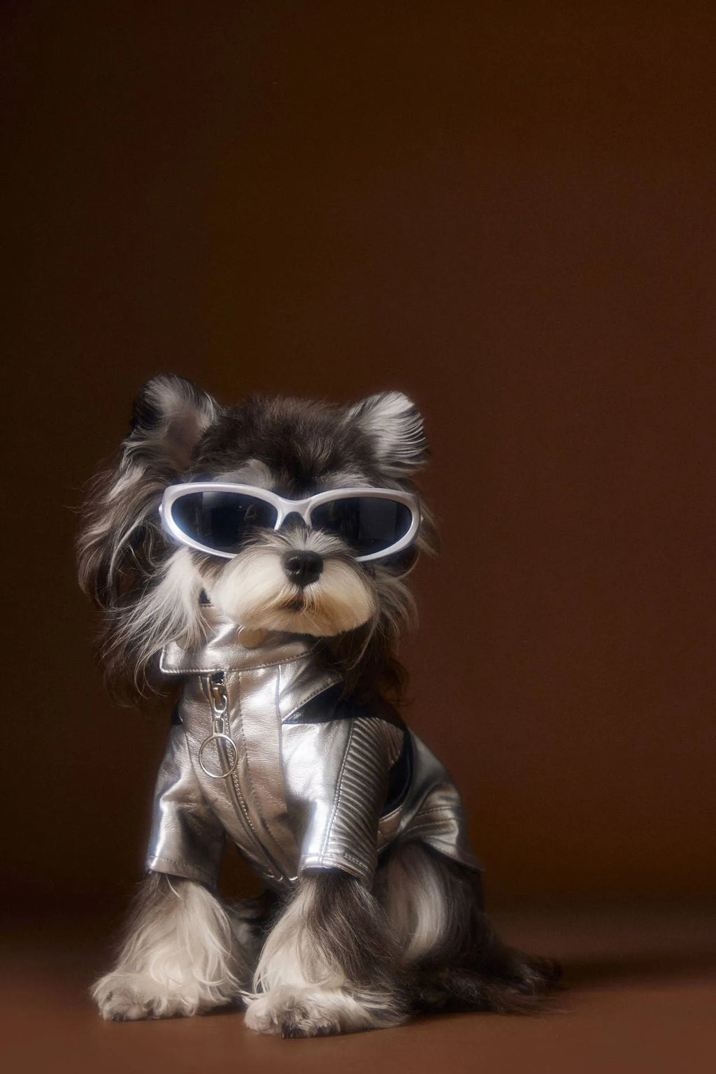 Distressed silver leather pet coat on a dog, size XS to XXL, 50% PU 50% viscose