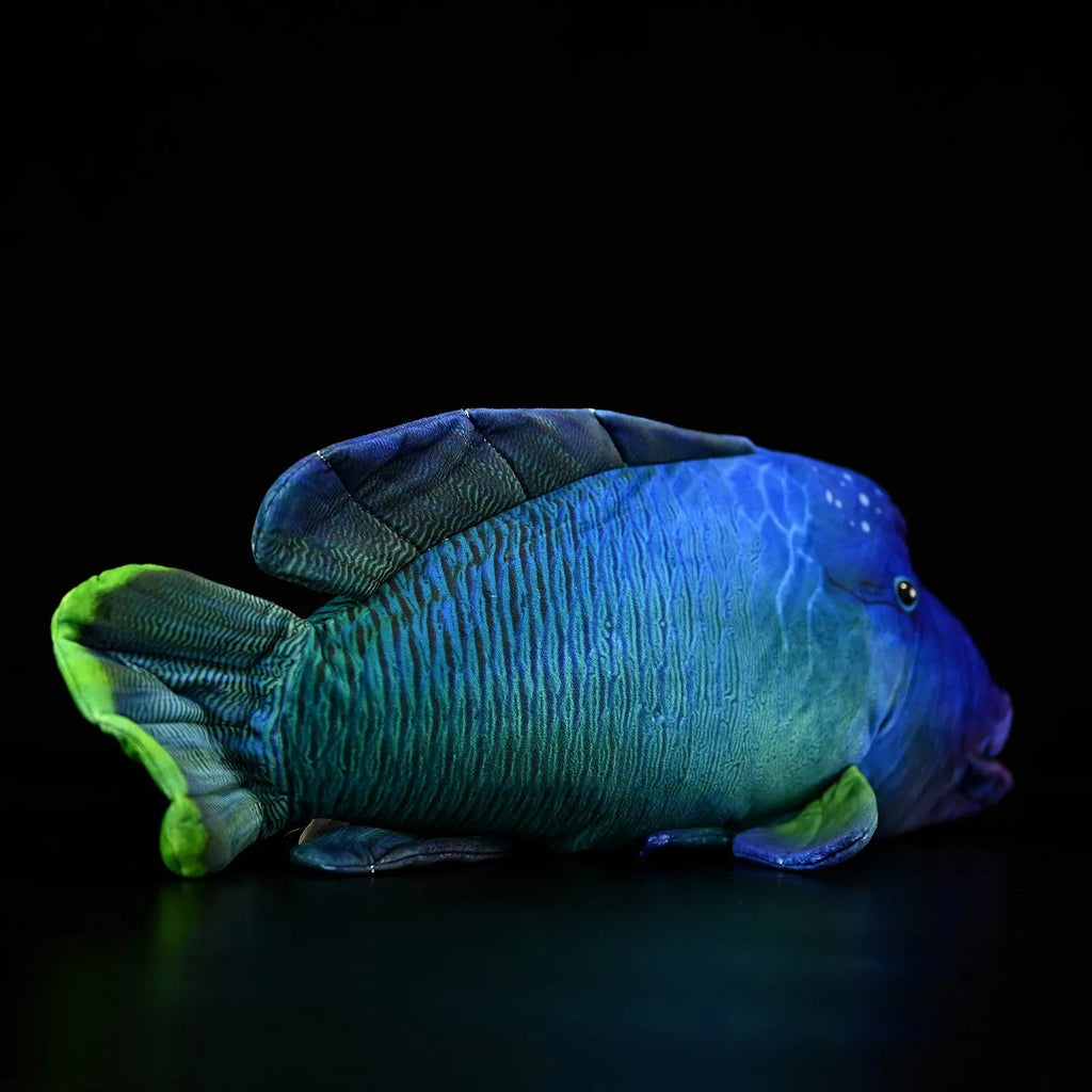 Green realistic printed sunfish plush toy with wavy lips, 55cm length, soft plush material