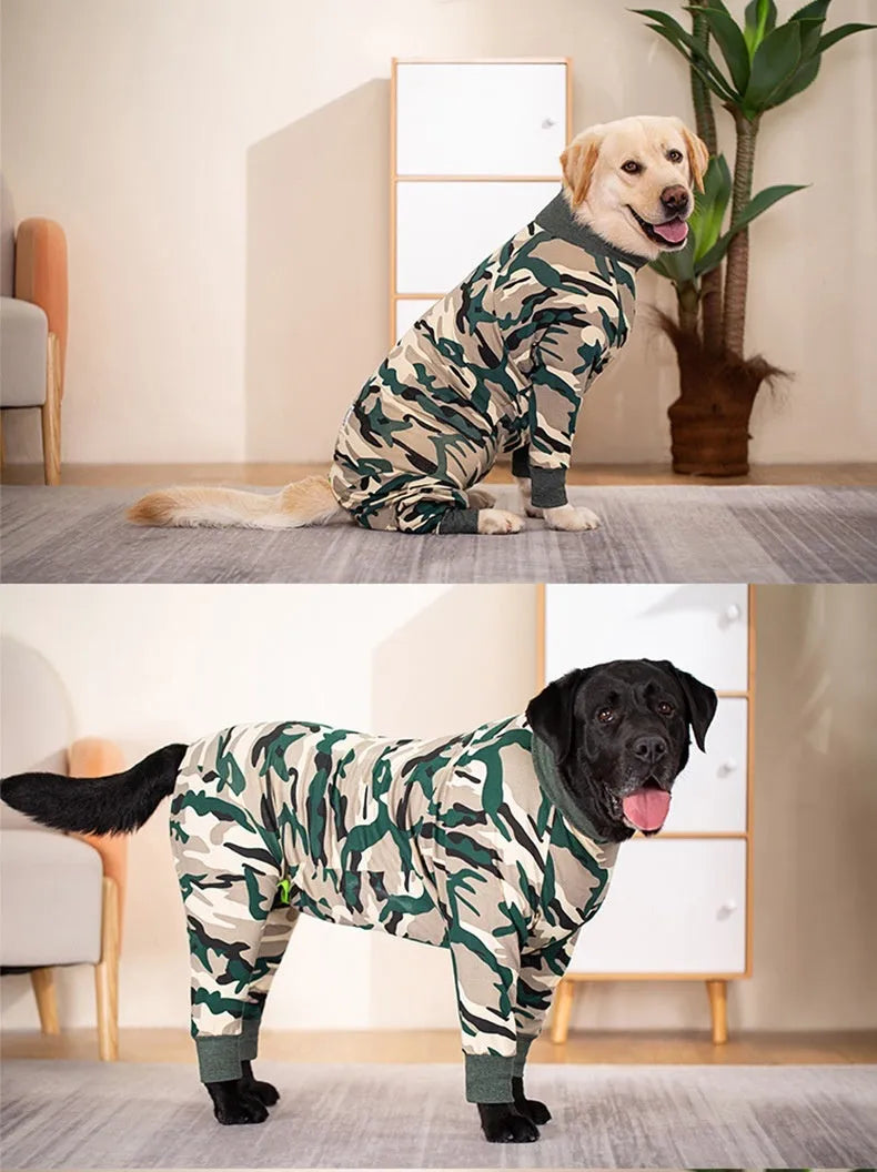Cotton all-inclusive belly dog coat with dinosaur print on a small dog