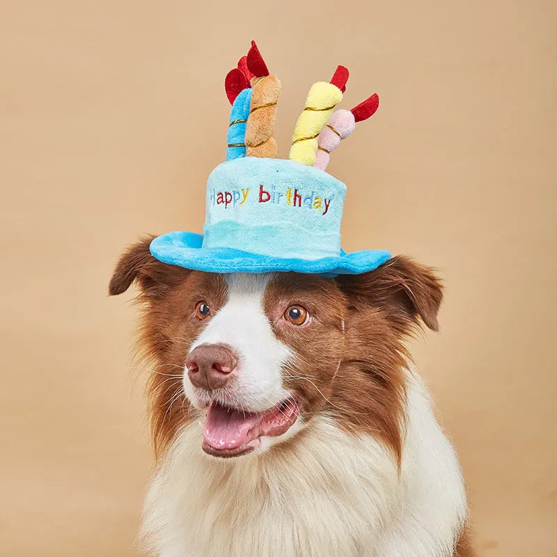 Blue and pink dog birthday hat toy with party whistle, measuring 21cm by 15cm by 6.5cm