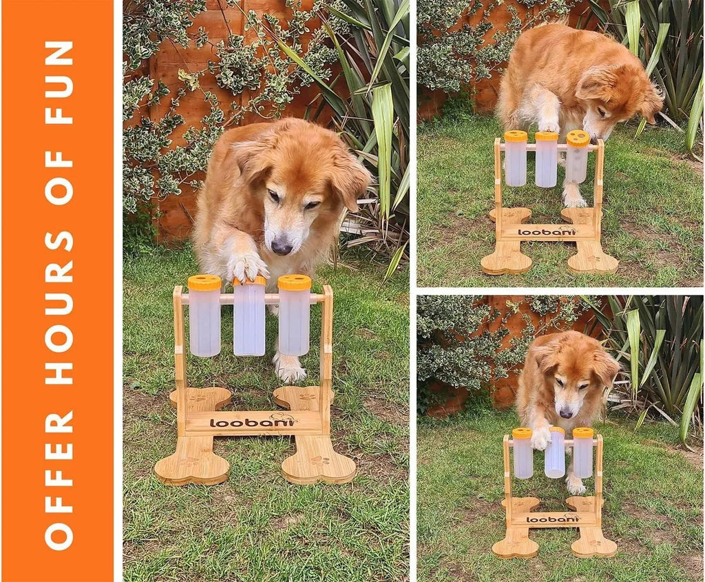 Wooden dog puzzle feeder toy 31x30x20cm for interactive feeding and mental stimulation