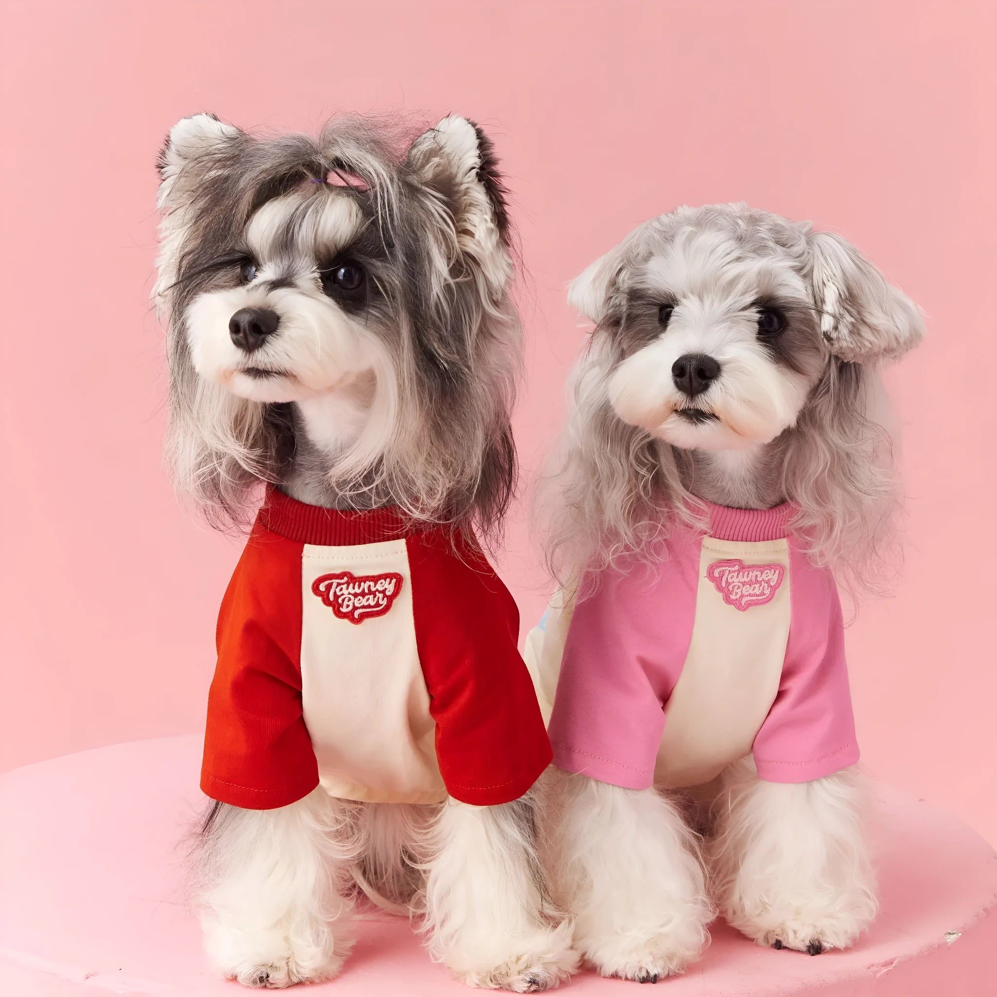 Red cotton summer dog outfit with contrast embroidery for male dogs in size L