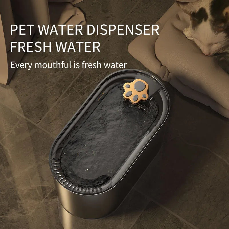 3 litre automatic pet water fountain in Berlin blue colour with LED light and filter system
