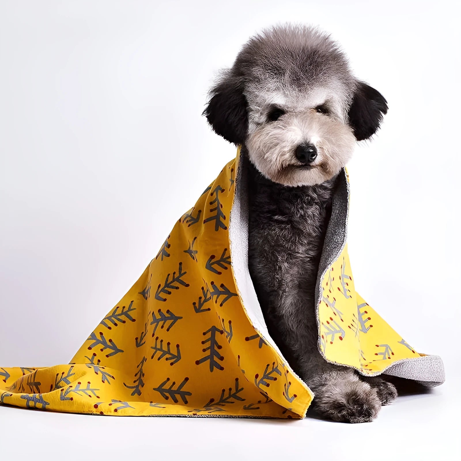 Colourful double-sided pet blanket with dinosaur and cartoon bear patterns on cotton velvet.