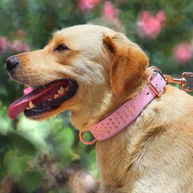 Leather dog collar with anti-bite rivets in black, chocolate, or pink colour options