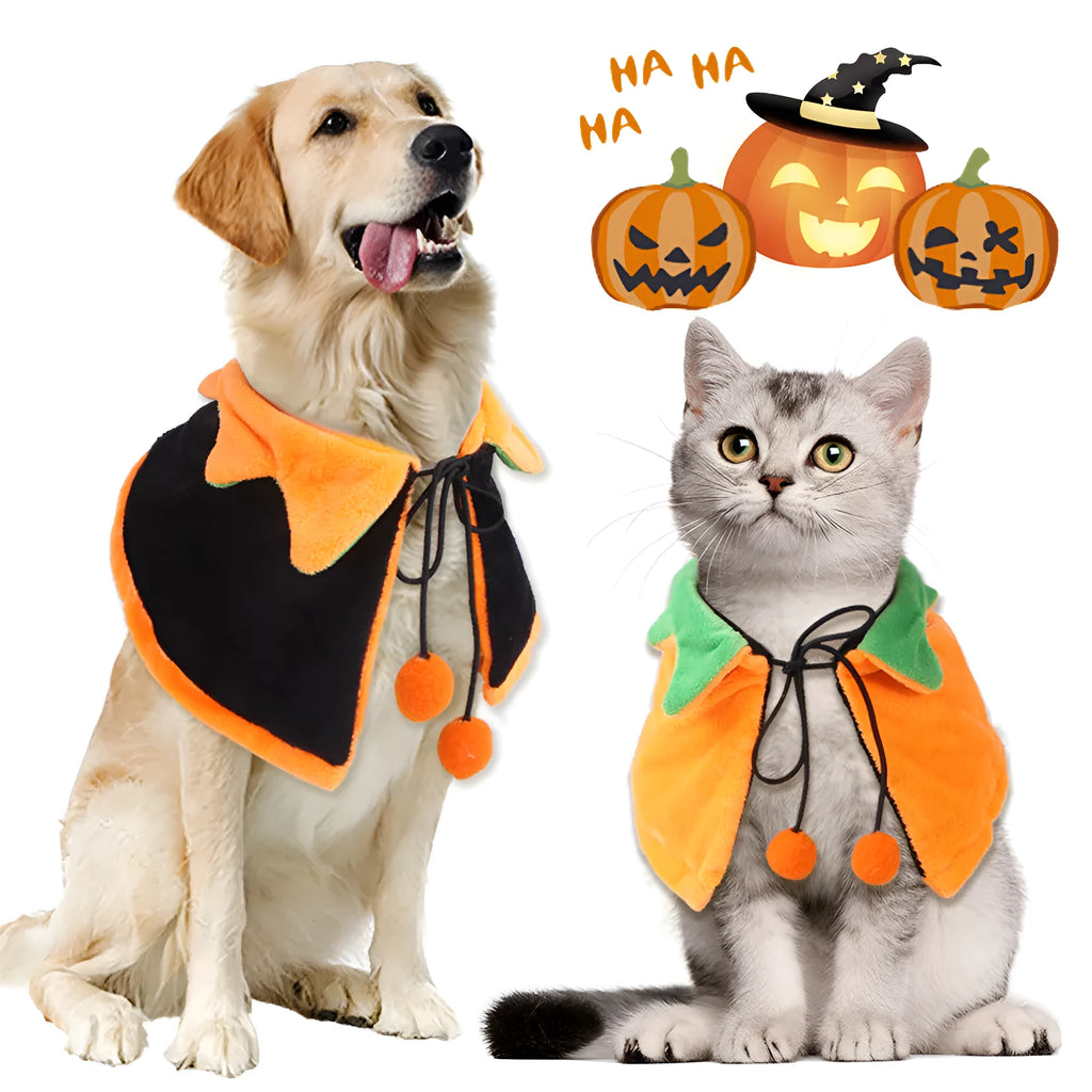 Orange plush pumpkin-themed cloak and hat costume on a dog for Halloween.
