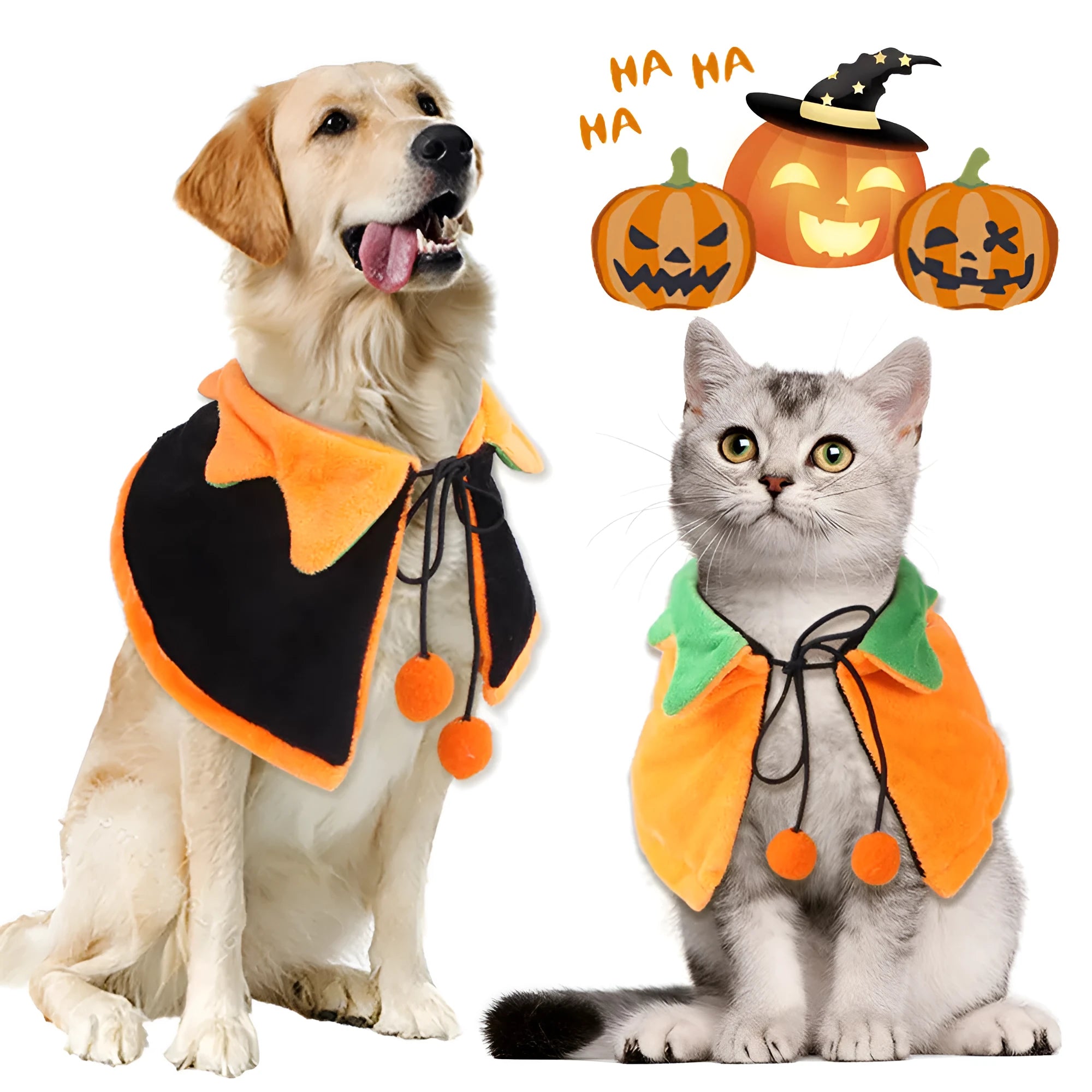 Orange plush pumpkin-themed cloak and hat costume on a dog for Halloween.