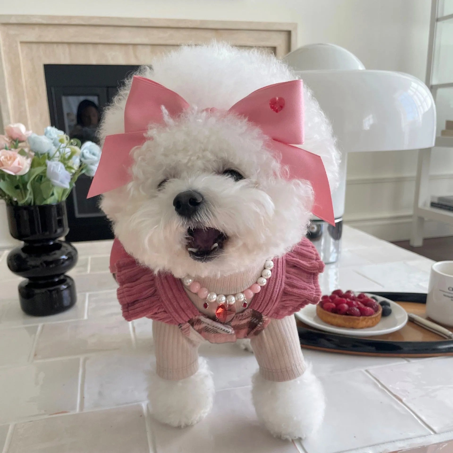 Adjustable dog hair band with princess style bow in blue and pink colours