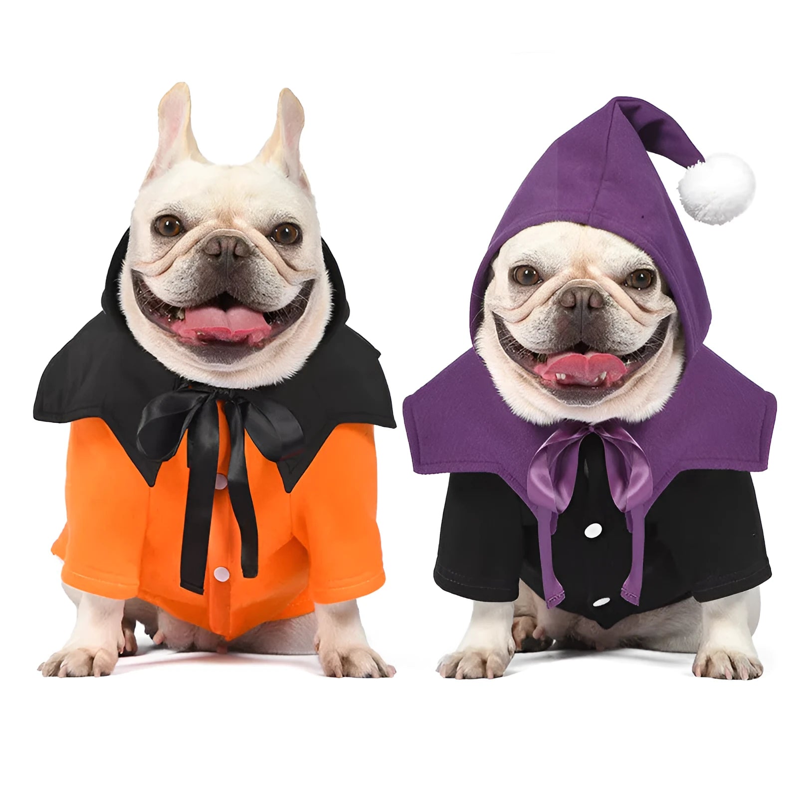 Orange and black two-piece Halloween dog costume with sweater and shawl showing pumpkin theme