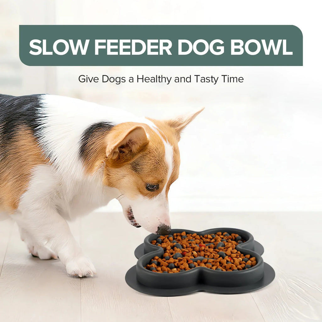 Silicone pet licking pad slow feeder mat in assorted colours on a floor