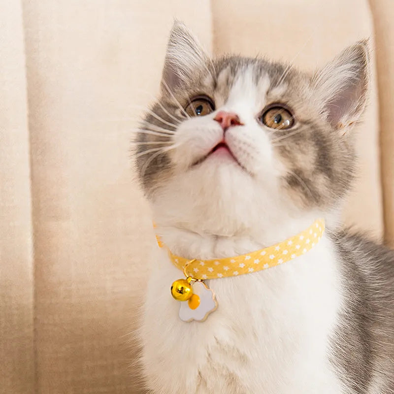 Small pet collar with bell pendant and decorative bow tie in adjustable design
