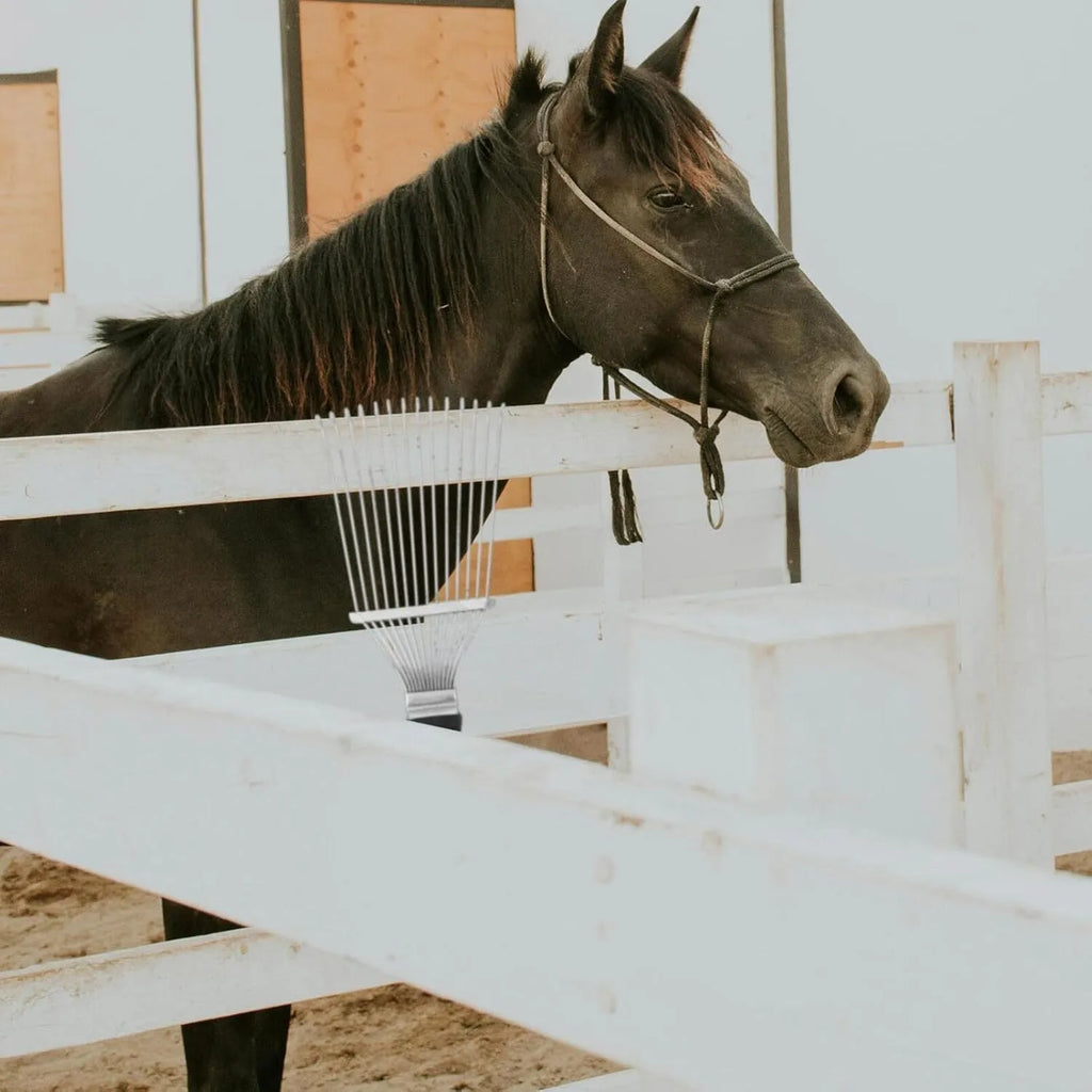 Stainless steel dematting brush rake comb for grooming horses and dogs on a wooden surface