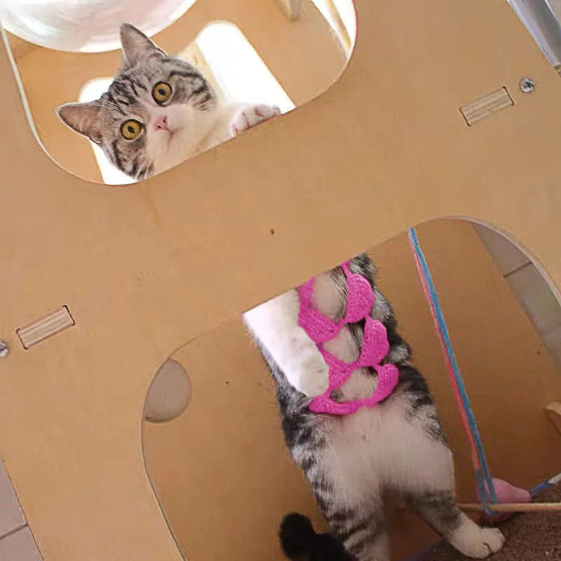 Cat wearing sweet style bikini costume in choice of five colours for festivals and parties