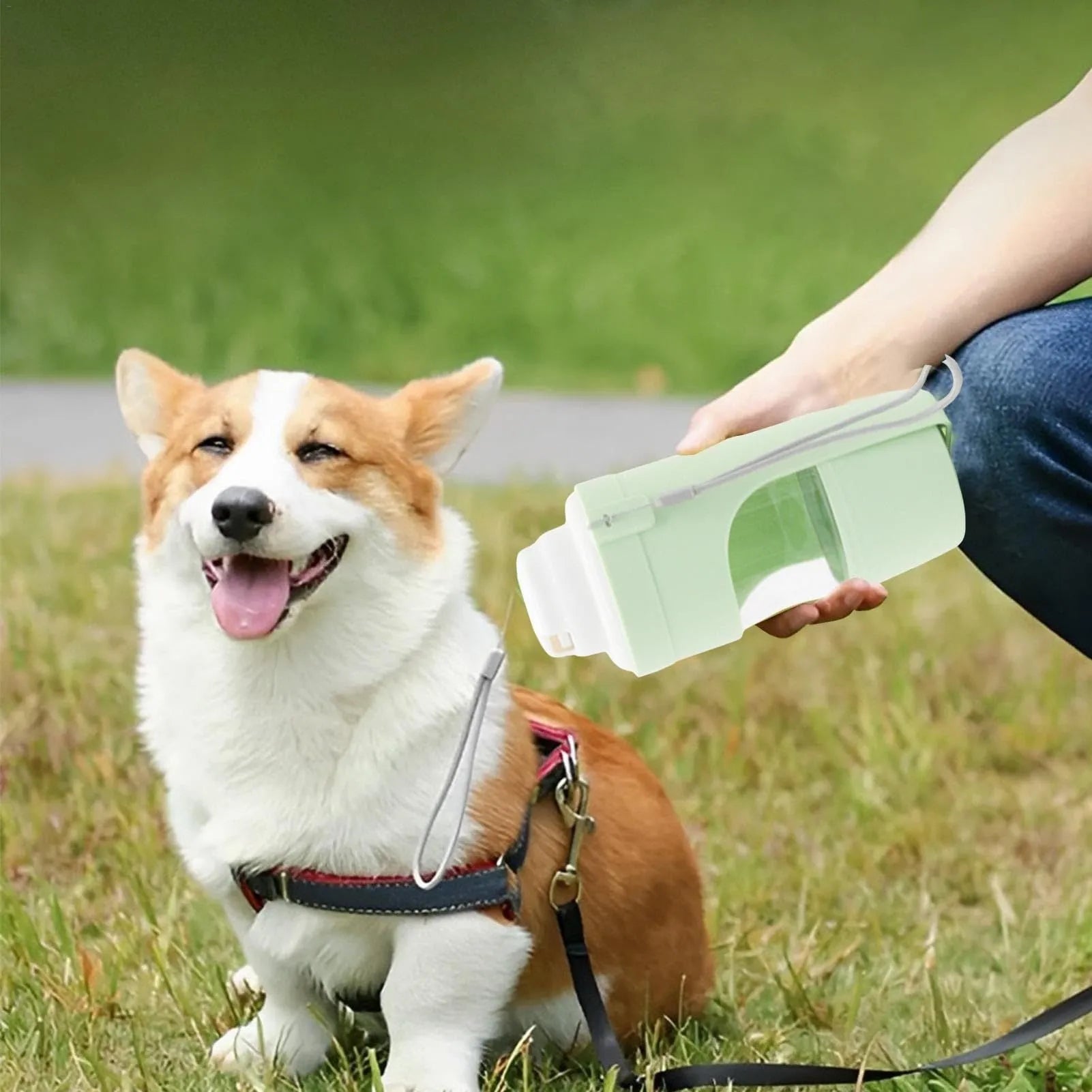 Green 2-in-1 travel dog water bottle with lanyard, showing water dispenser and food container compartments.
