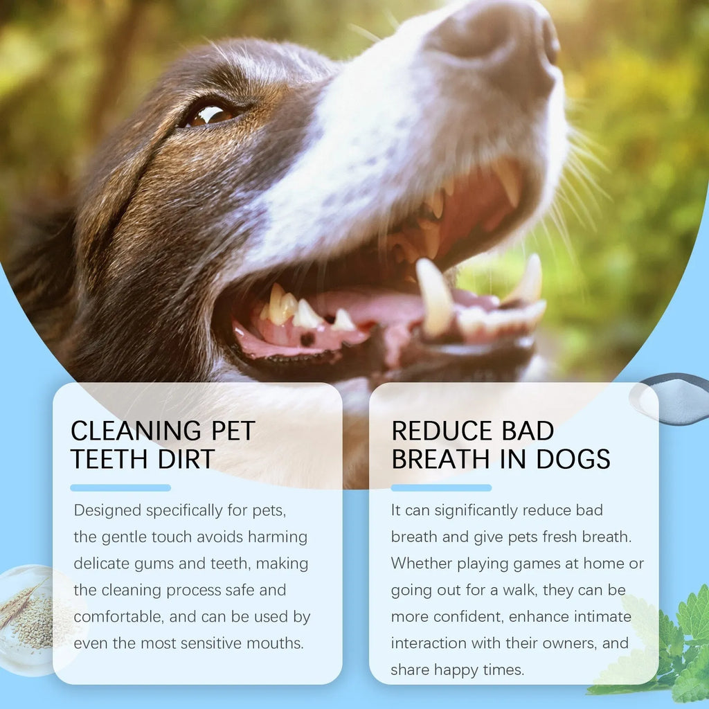 Pet toothbrush pen with soft bristle head and breath care gel for dogs and cats