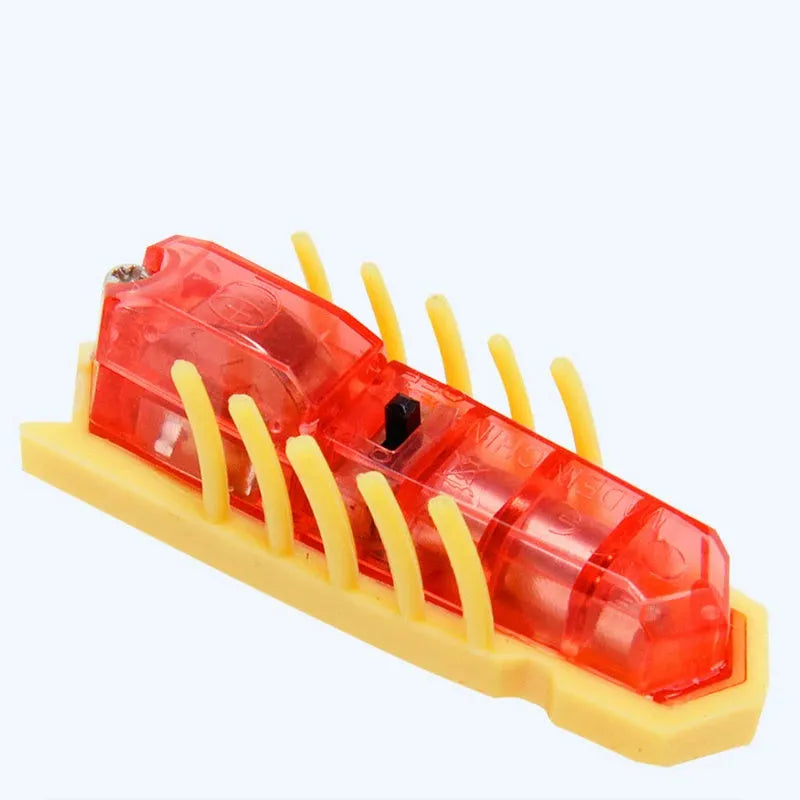 Mini electric bug pet toy with ladybird design on wooden floor