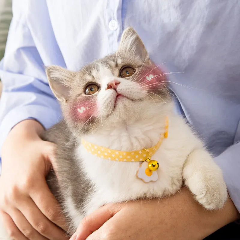 Small pet collar with bell pendant and decorative bow tie in adjustable design