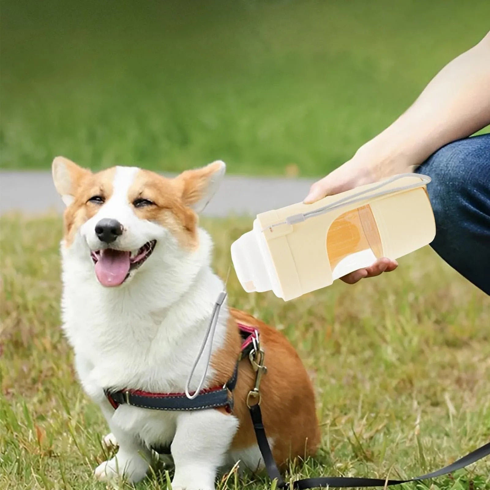 Green 2-in-1 travel dog water bottle with lanyard, showing water dispenser and food container compartments.